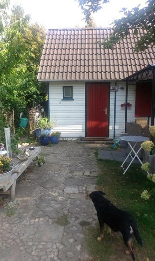 Das Kleine Ferienhaus Berlin Zewnętrze zdjęcie